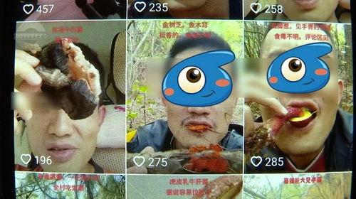 野生菌爆料视频播放,视频揭秘菌类世界奇观 第1张 野生菌爆料视频播放,视频揭秘菌类世界奇观 第1张